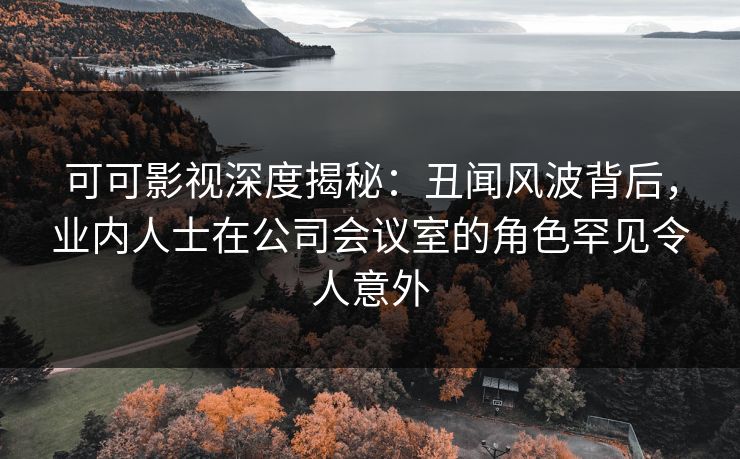 可可影视深度揭秘：丑闻风波背后，业内人士在公司会议室的角色罕见令人意外